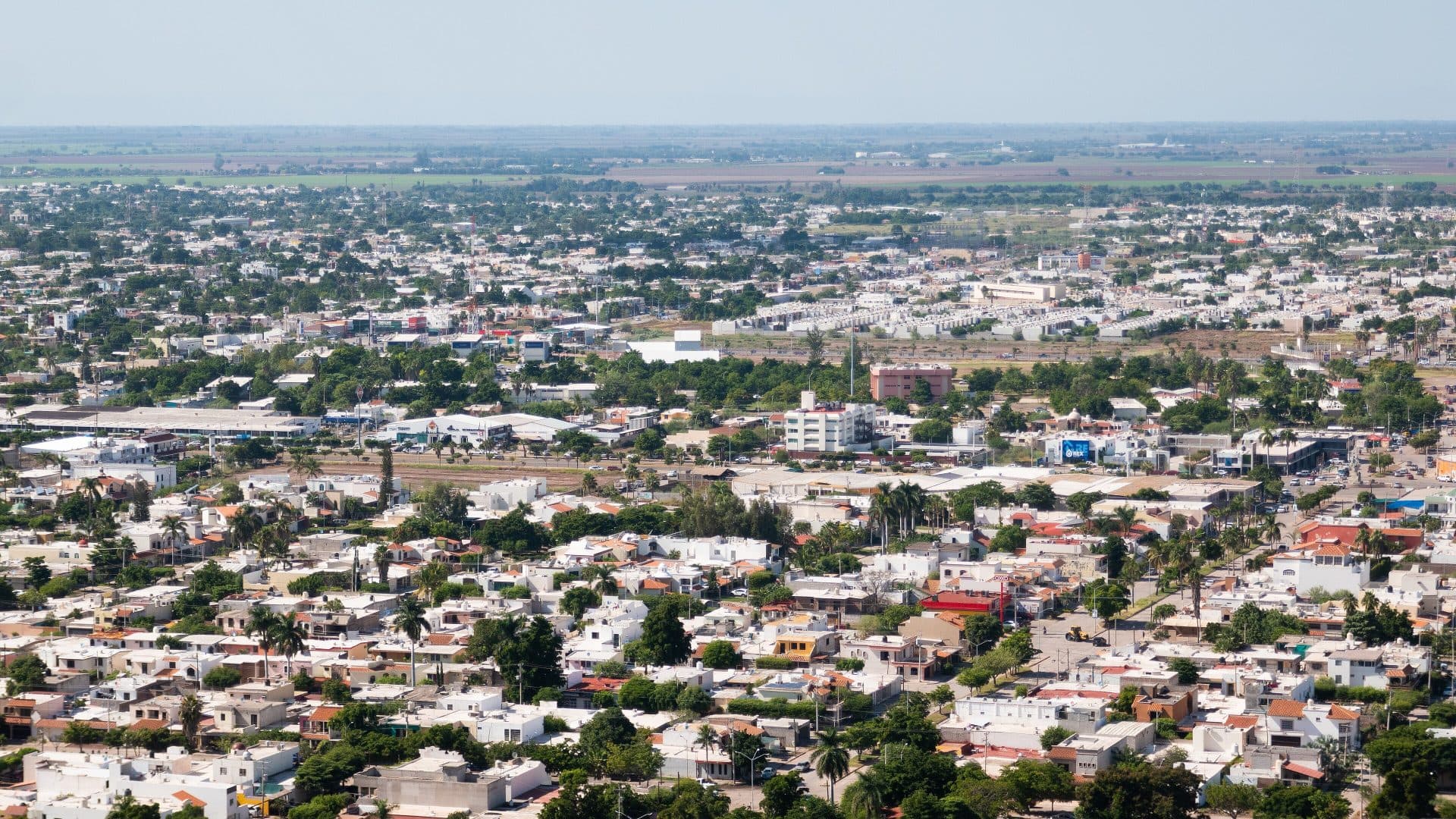 FOT_Sinaloa