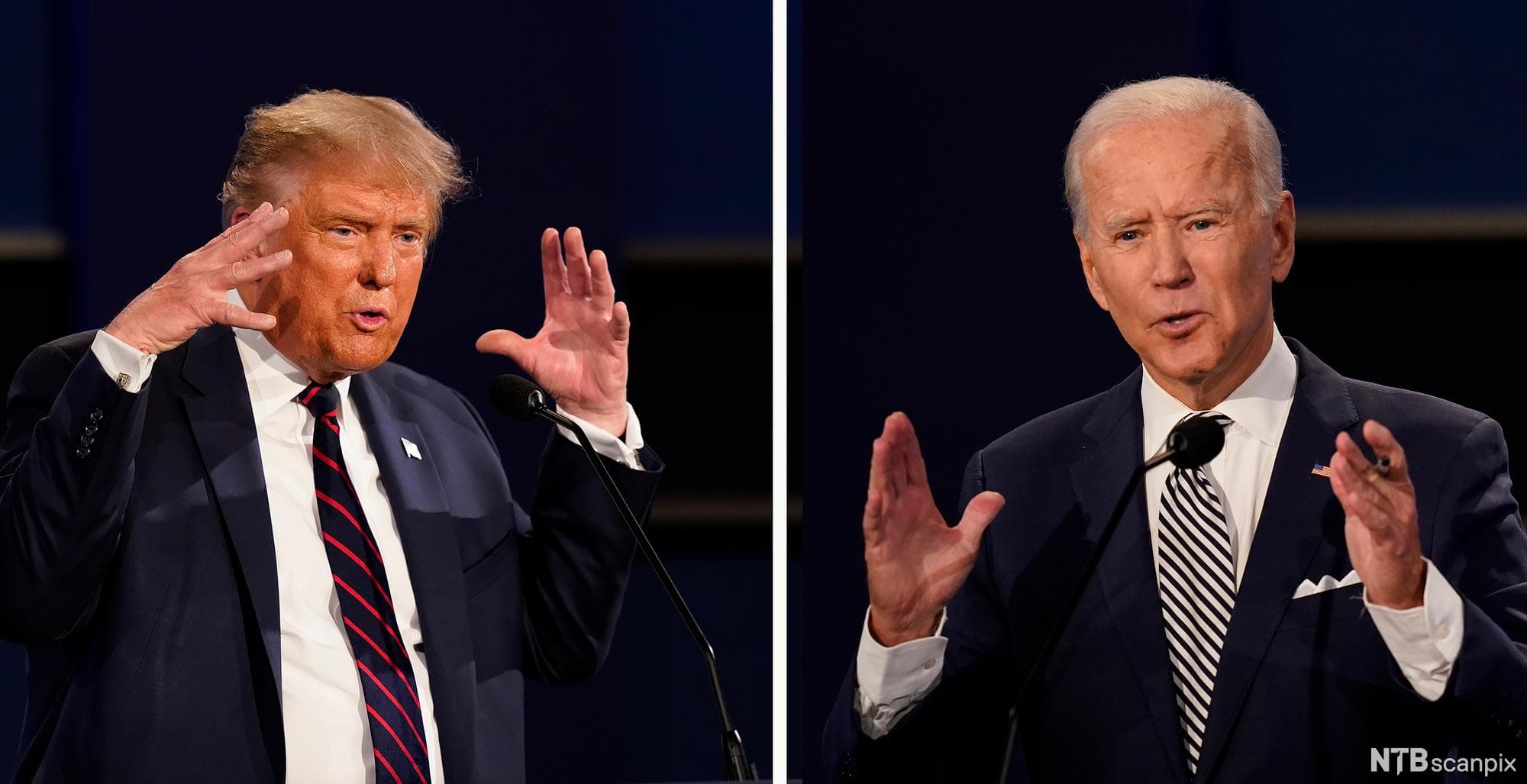 Trump or Biden