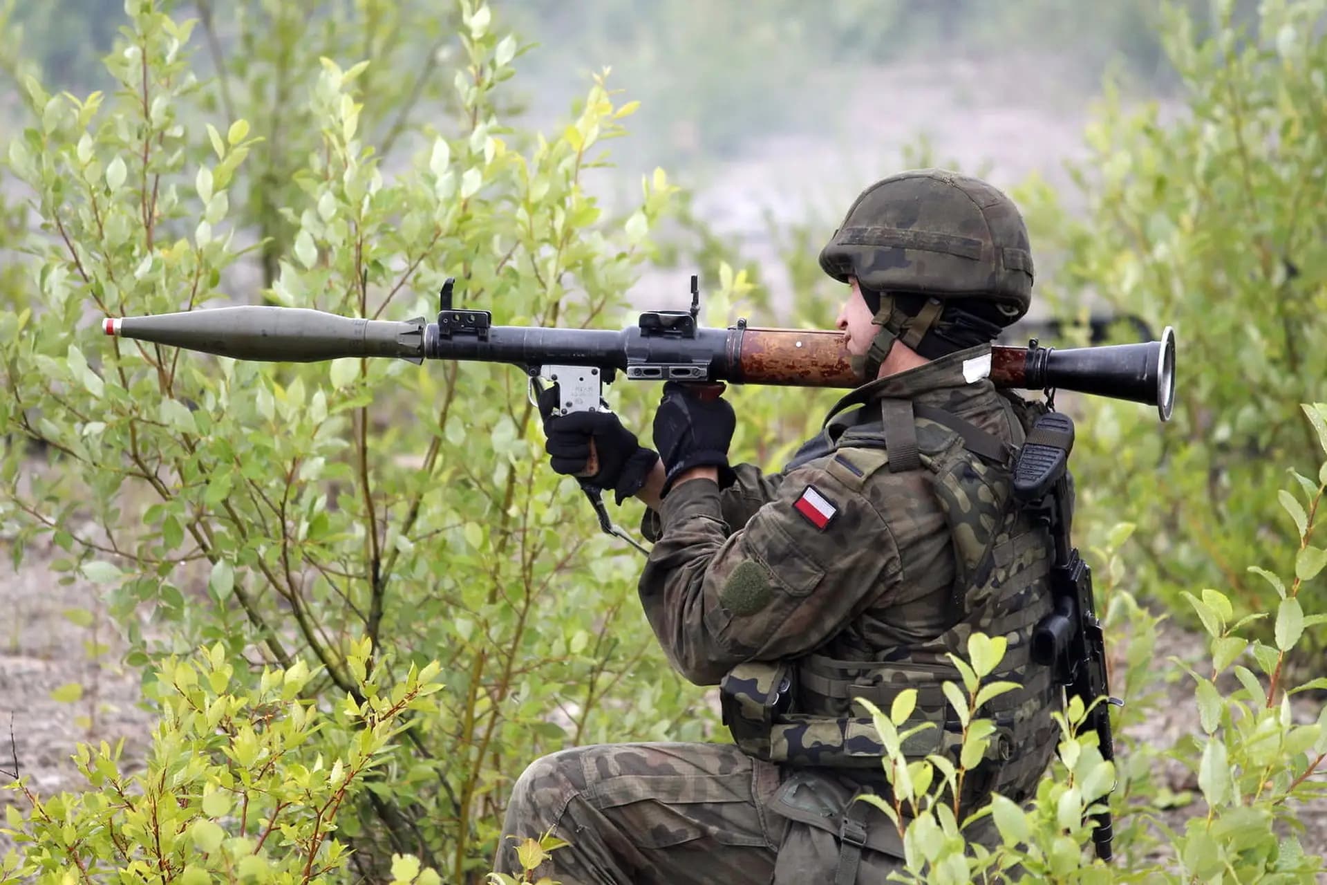 Poland’s Wall of Defence: The Strategic and Political Impact of the East Shield Project