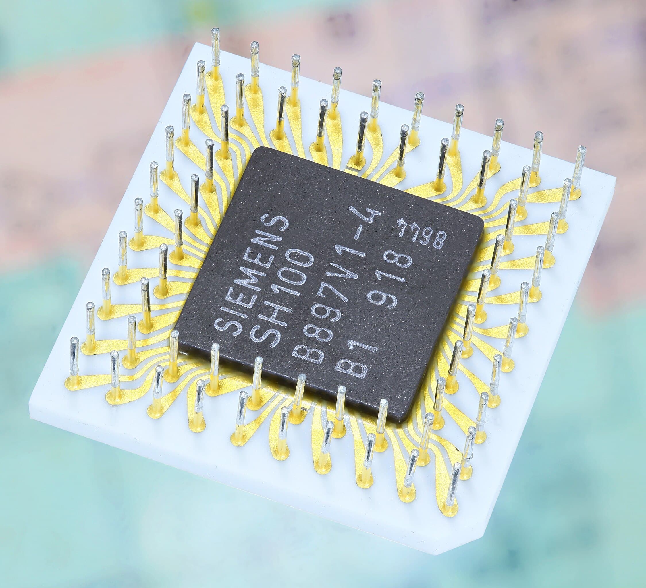 China Accuses Netherlands Over Semiconductor Trade Restrictions